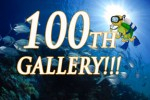 DivePhotoGuide reaches 100 pro galleries Photo