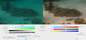 Vivid-Pix Software now supports RAW/DNG photos Photo