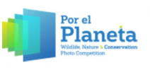 Results of Por el Planeta contest announced Photo