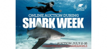 Shark Angels auction kicks off July 2 Photo