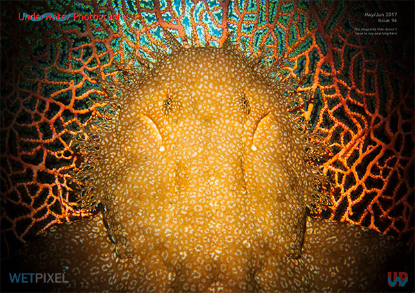 Underwater Photography on Wetpixel