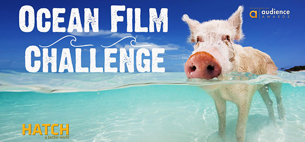 Ocean Film Challenge on Wetpixel
